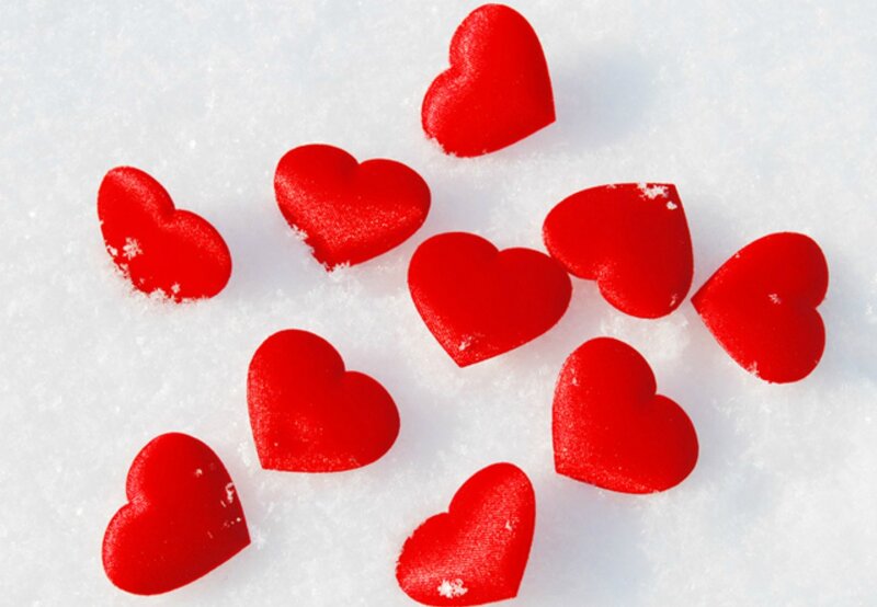 Red Hearts in Snow — Calm, Winter