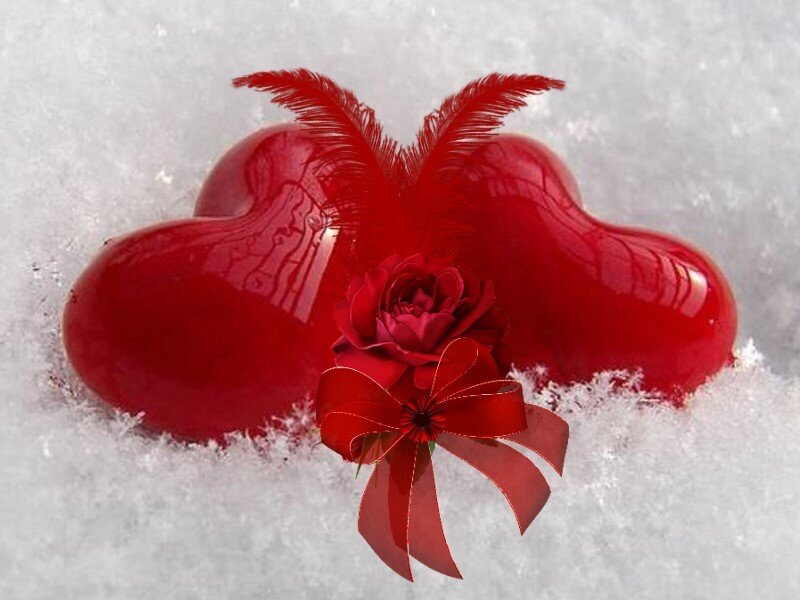 Red Hearts in Snow