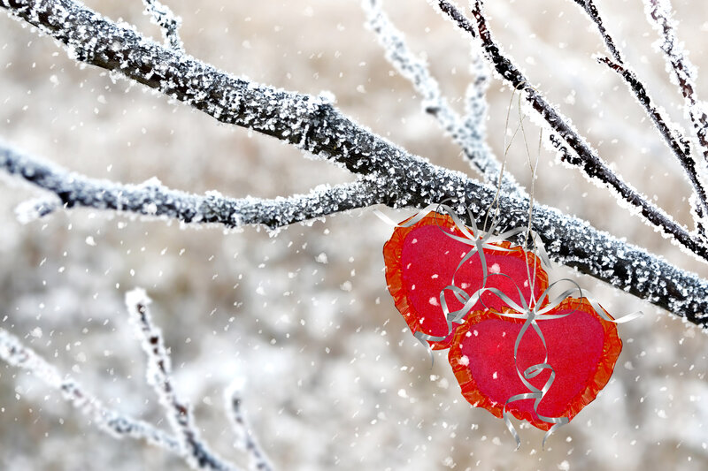 Red Hearts on Branch
