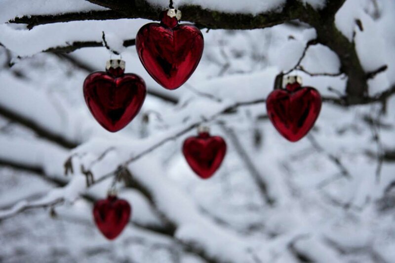 Red hearts on snowy branches