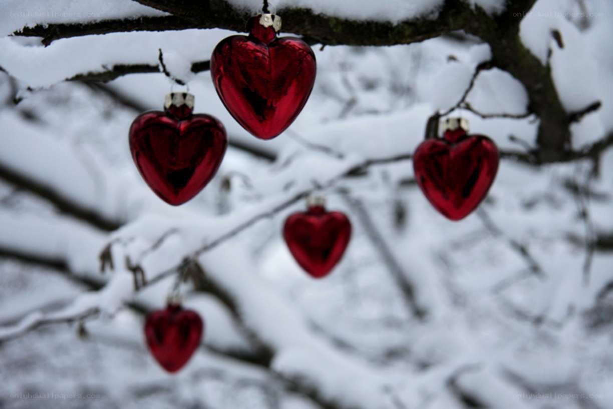Red hearts on snowy branches