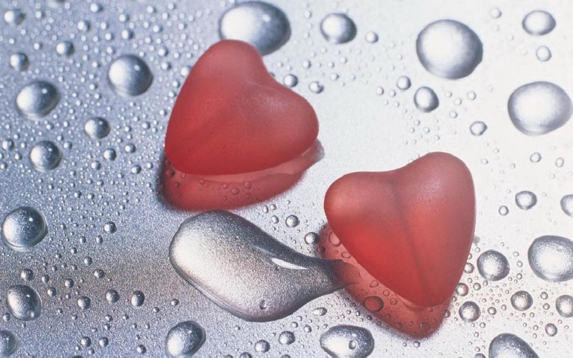 Red hearts on wet surface