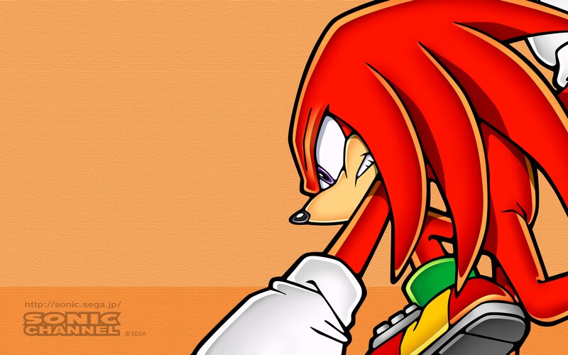 Red Hedgehog Character — Determined