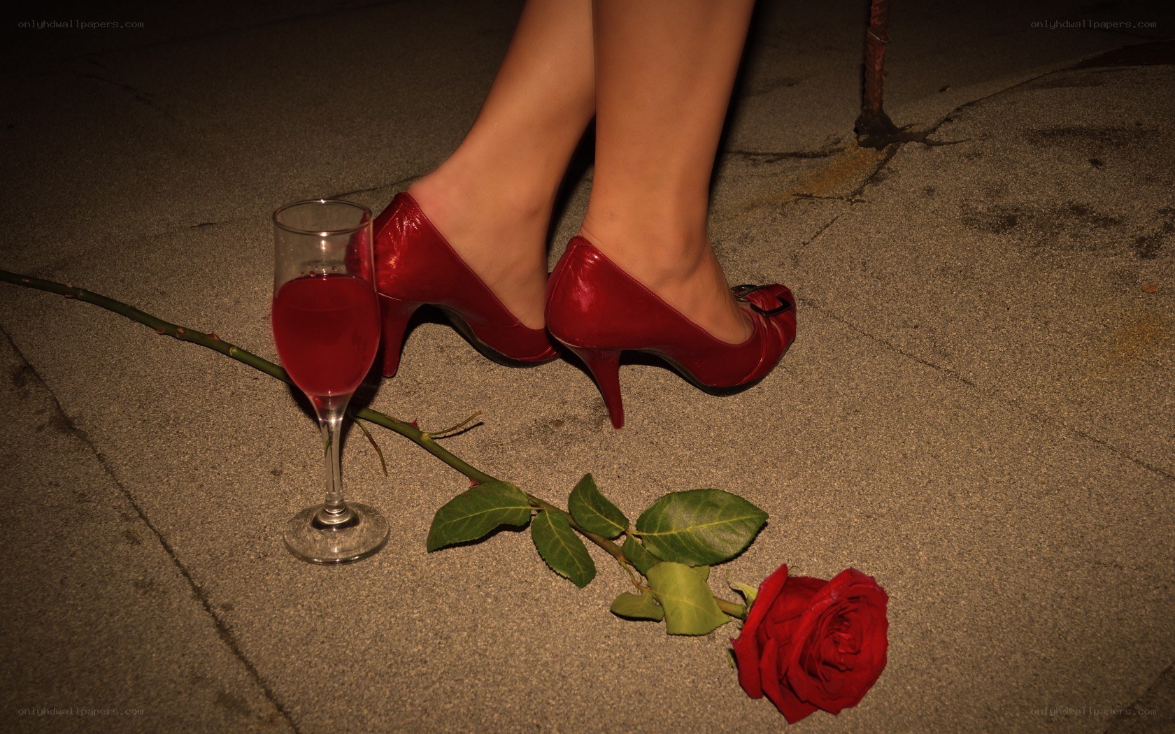 Red heels and rose on pavement