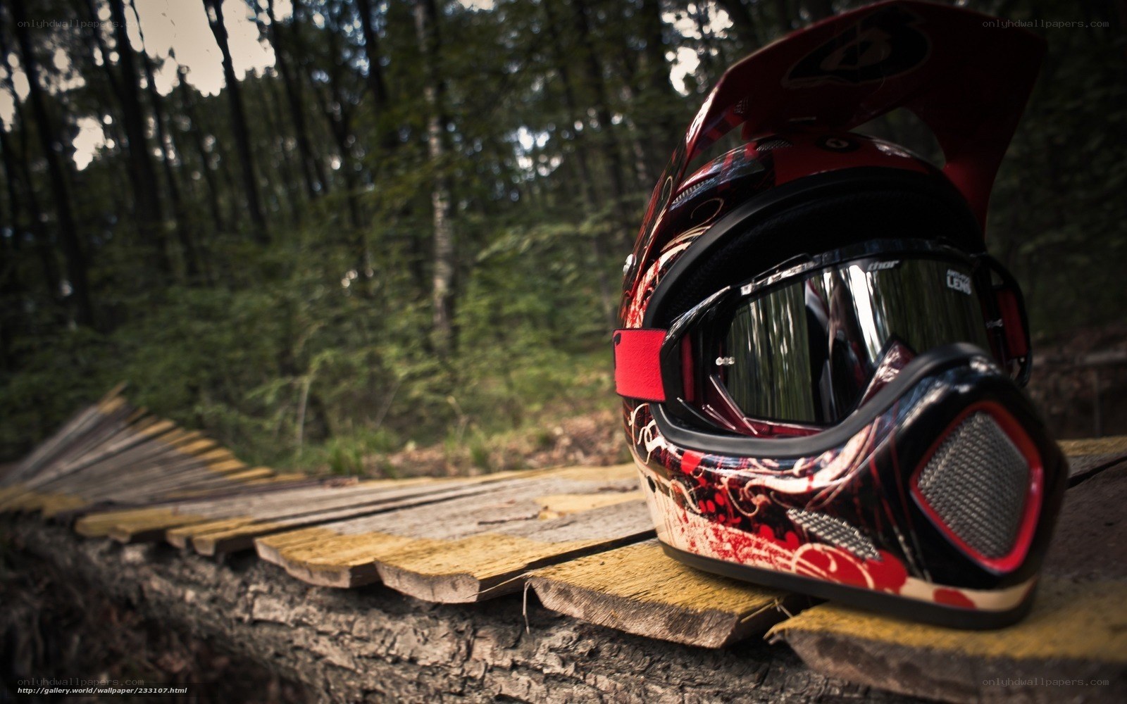 red helmet on wooden bridge