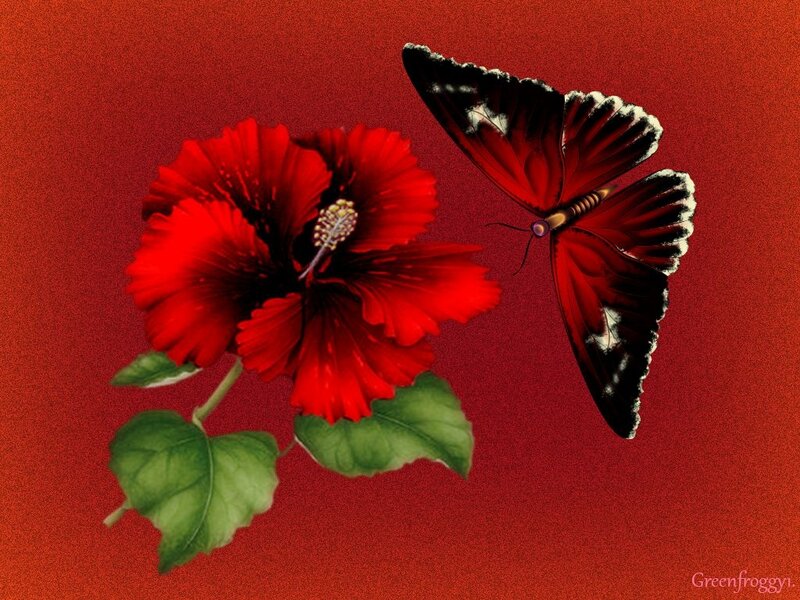 Red Hibiscus Flower — Dramatic, Digital Art, Butterfly