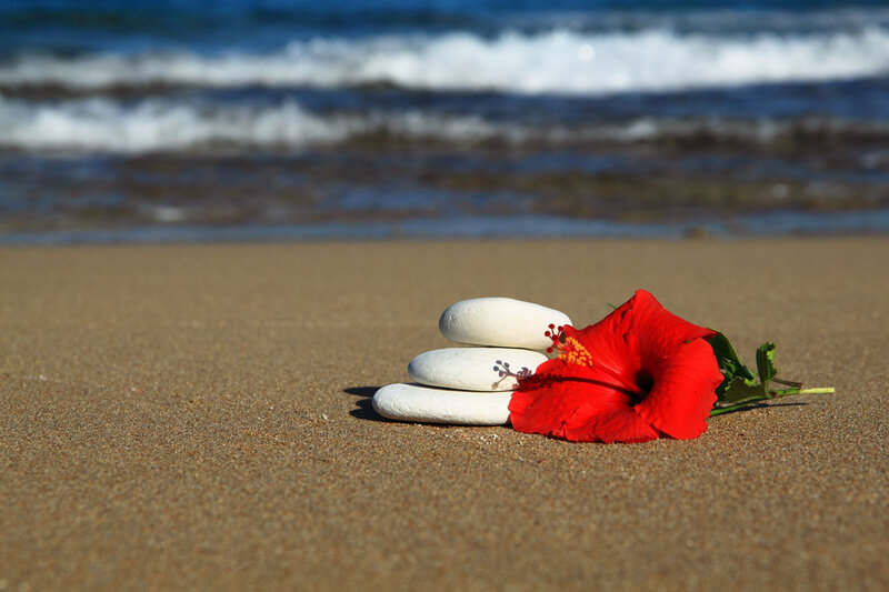 Red Hibiscus Flower — Serene, Afternoon, Photograph, White Stones
