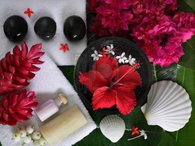 Red Hibiscus Flower — Serene, Photograph, Flowers