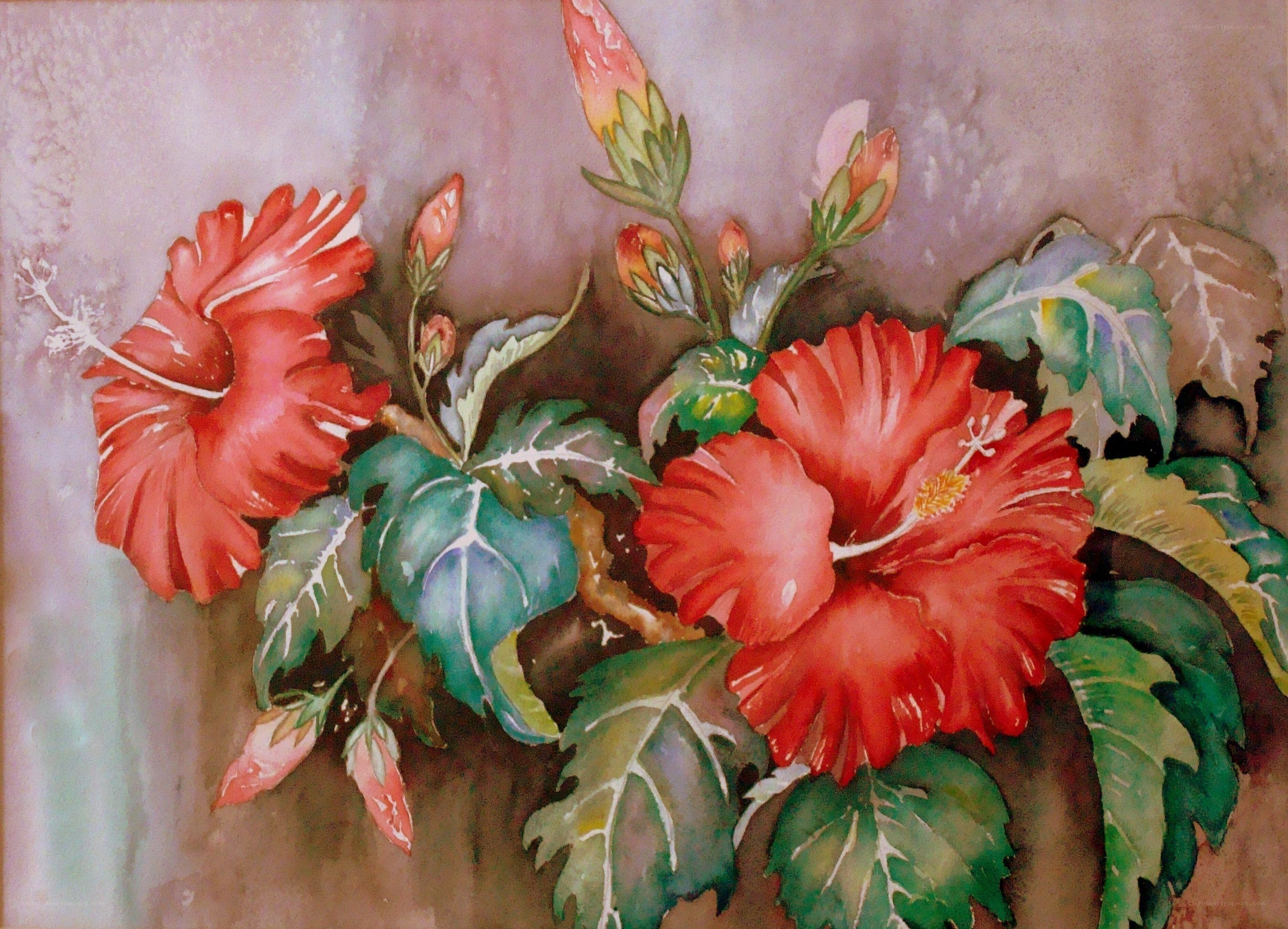Red hibiscus flowers painting