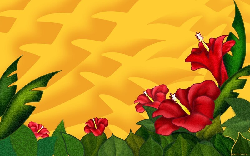 Red Hibiscus Flowers — Tropical
