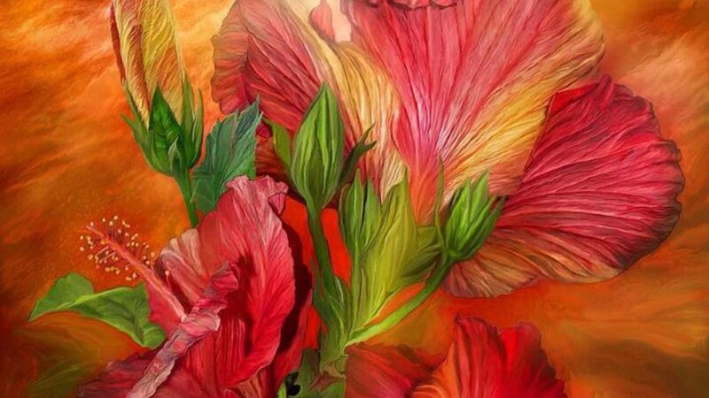 Red Hibiscus Flowers — Vibrant, Painting
