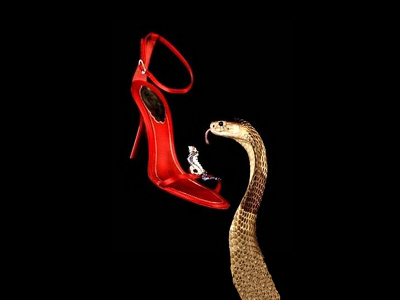 Red high-heeled shoe with snake