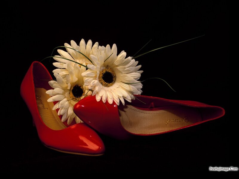 Red High-heeled Shoes — Dramatic, Photograph, Flowers