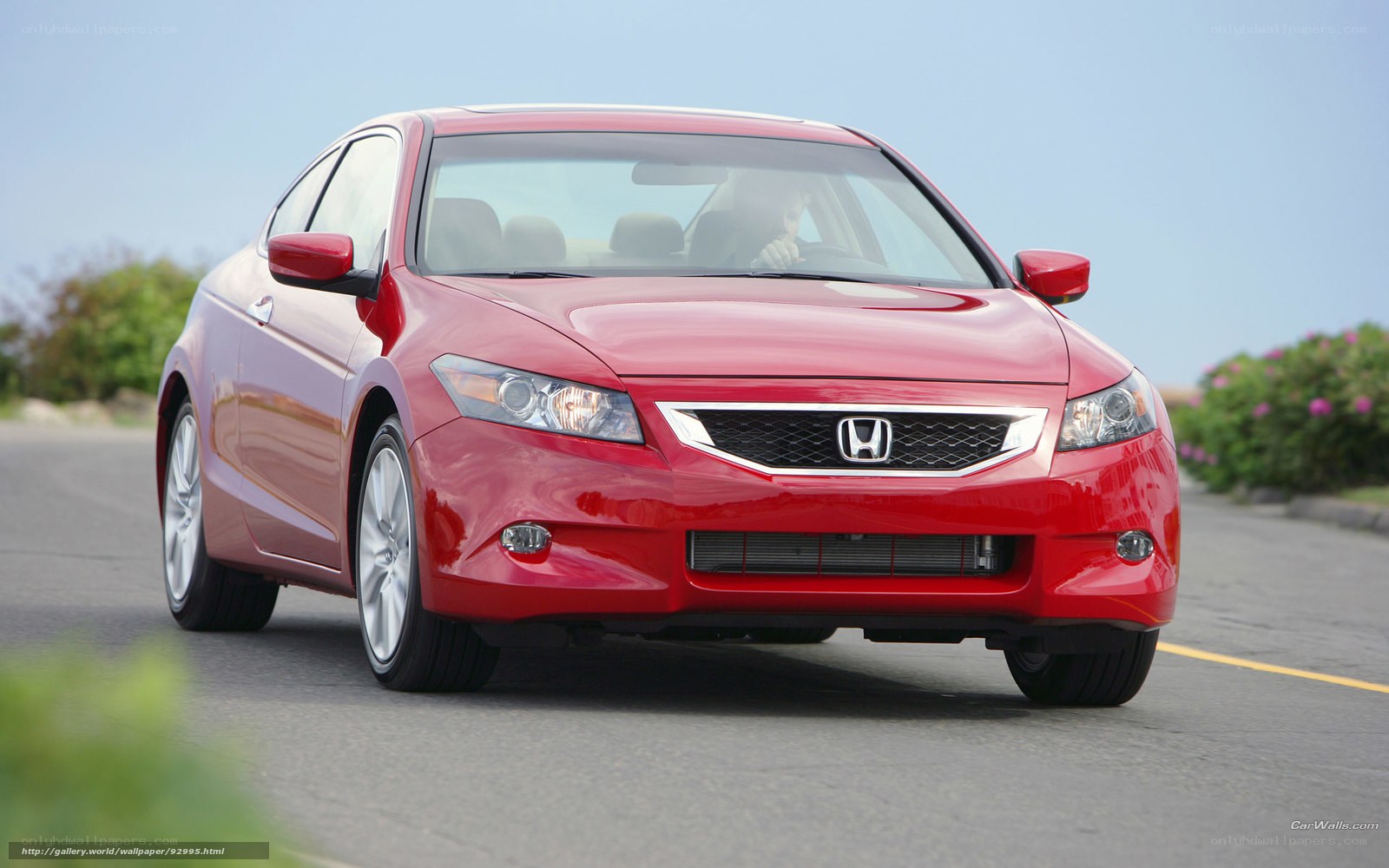 Red Honda Accord driving on road