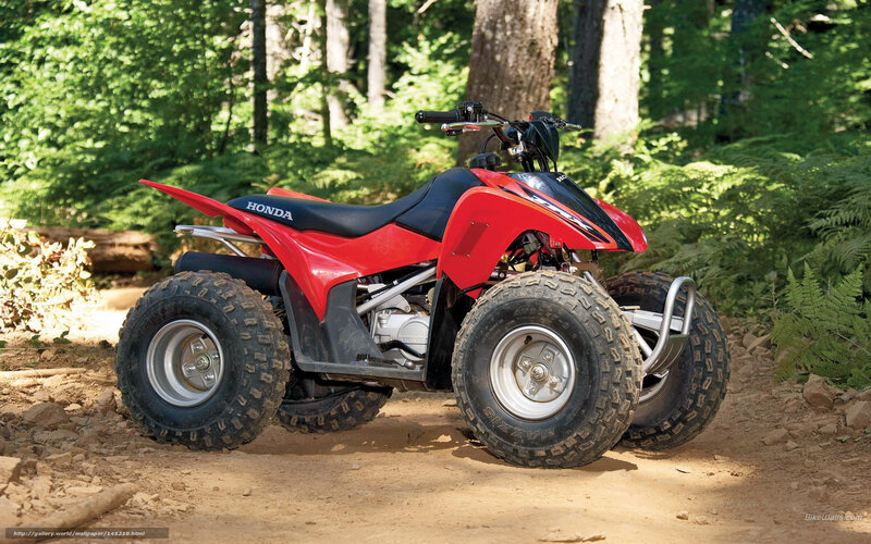 Red Honda ATV in forest