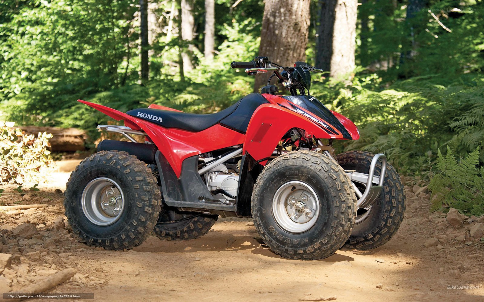 Red Honda ATV in forest