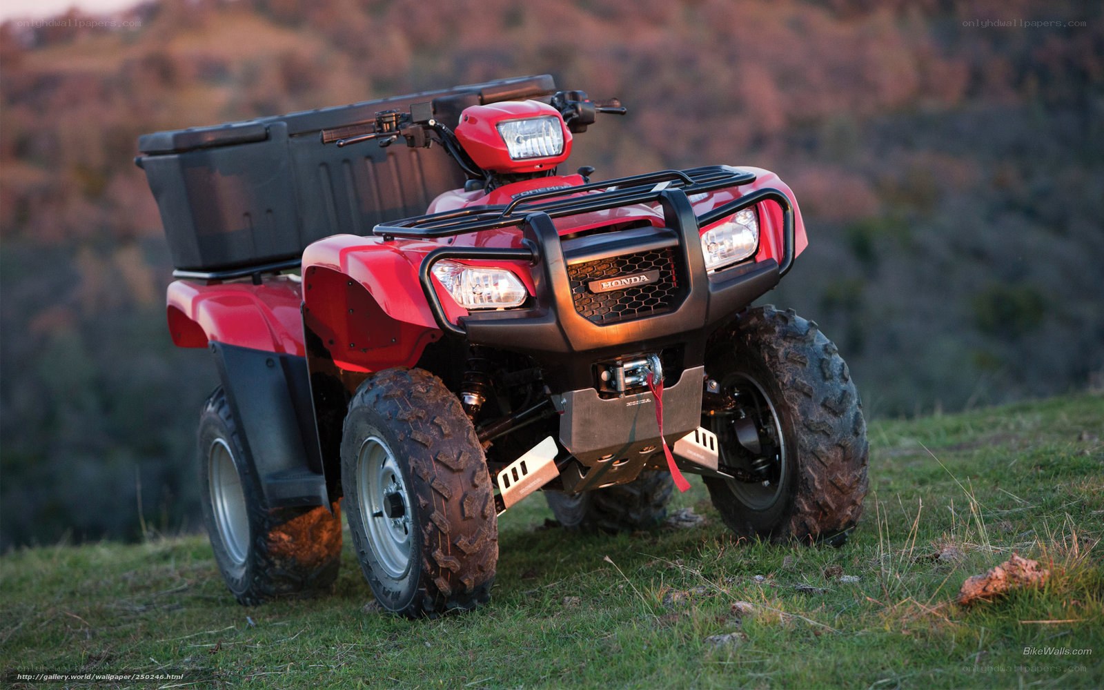 Red Honda ATV on a hillside