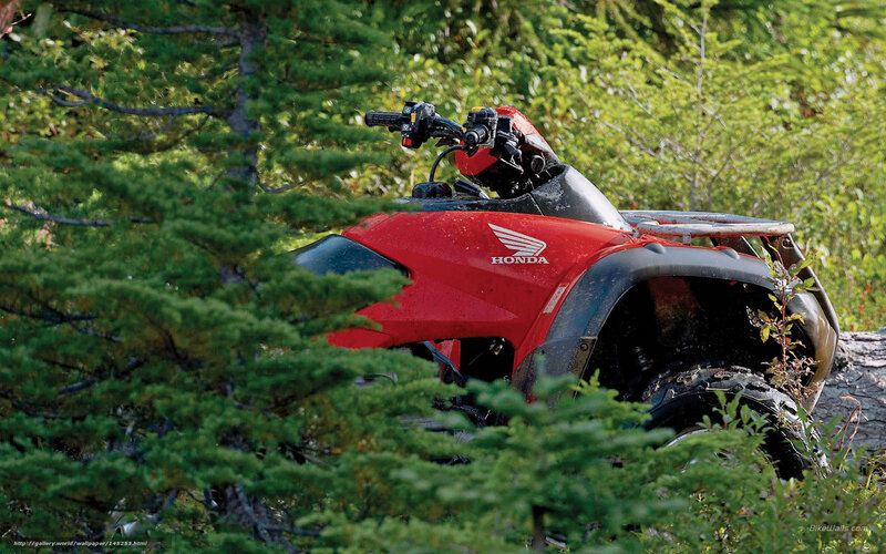 Red Honda ATV — Outdoor