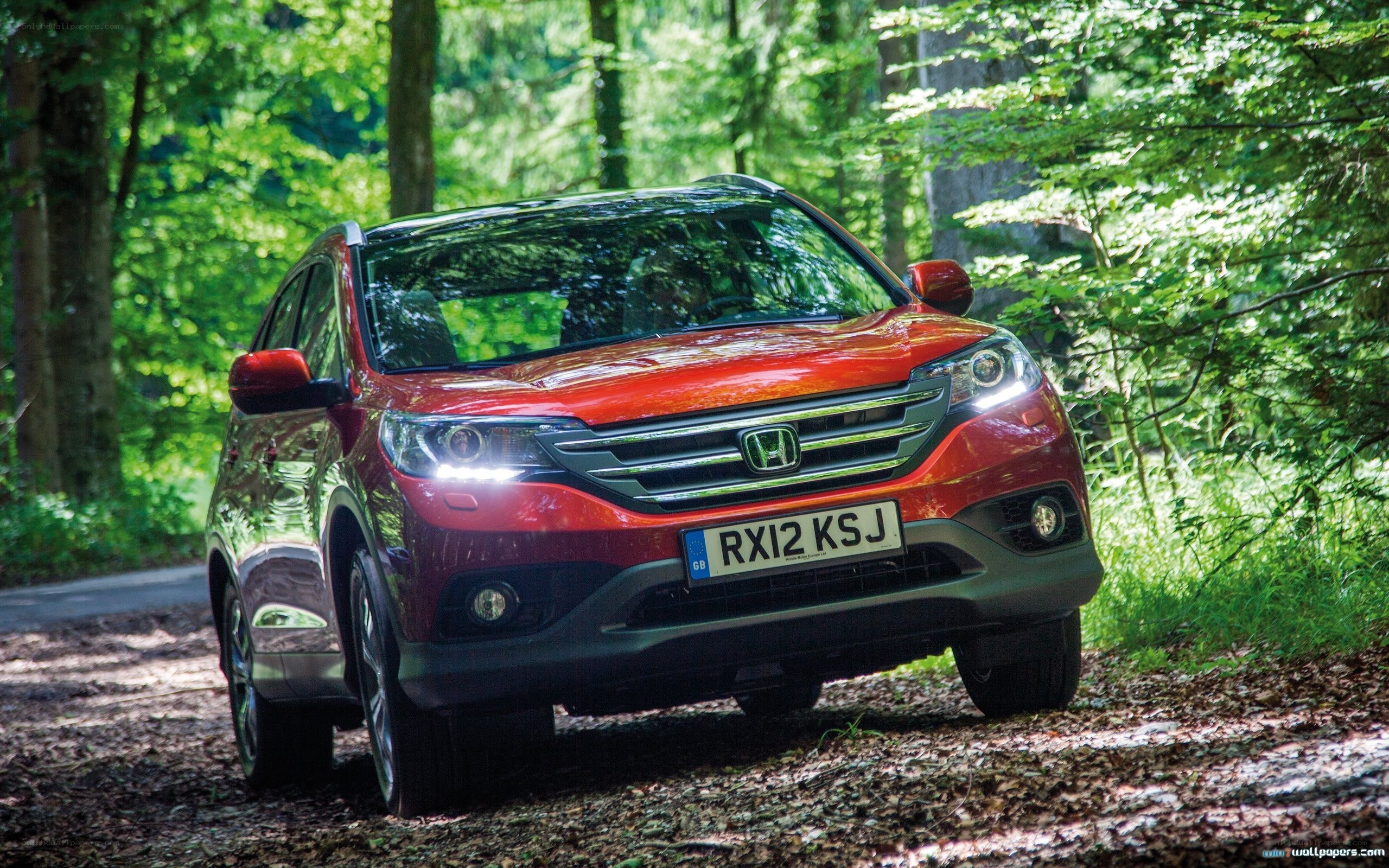 Red Honda CR-V in forest
