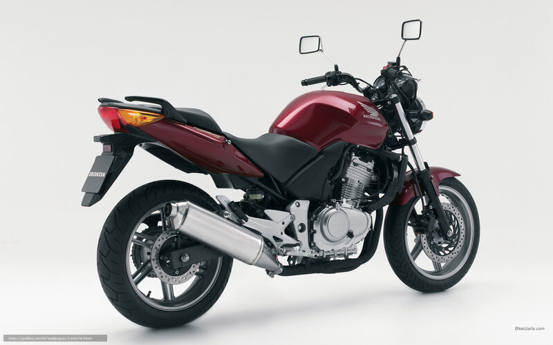 Red Honda Motorcycle — Neutral, Photograph, Exhaust Pipe, Rear Wheel