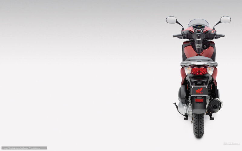 Red Honda scooter rear view
