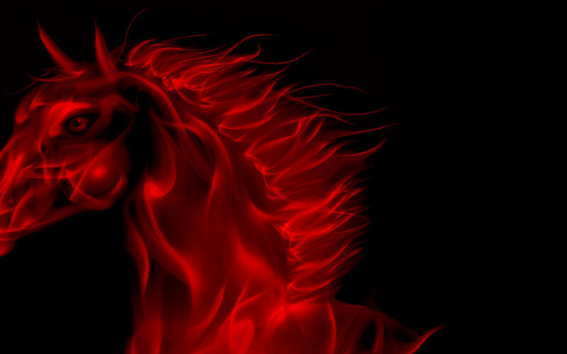 Red Horse Head
