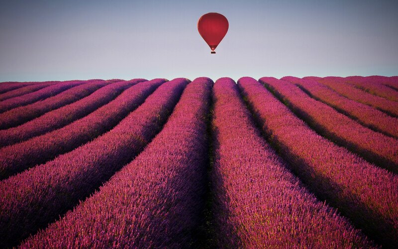 Red Hot Air Balloon — Purple