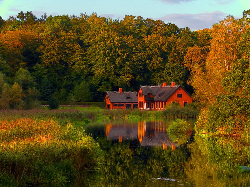 Red House by Lake — Orange