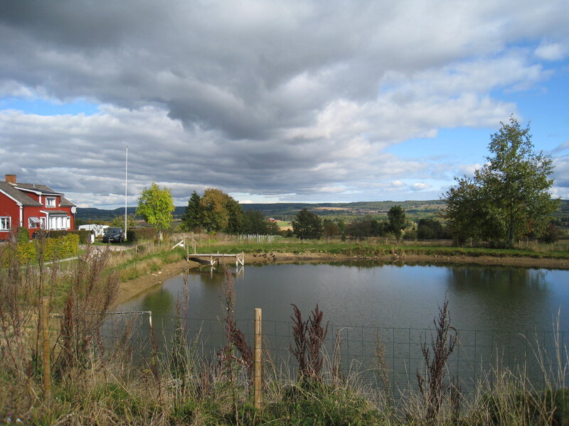 Red House by Pond