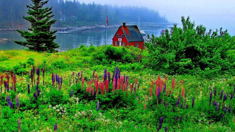 Red House by the Water — Green