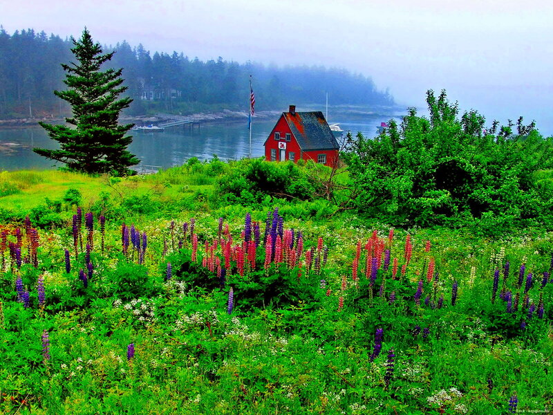 Red House by the Water