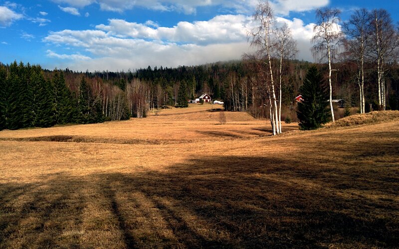 Red House in Field — Brown