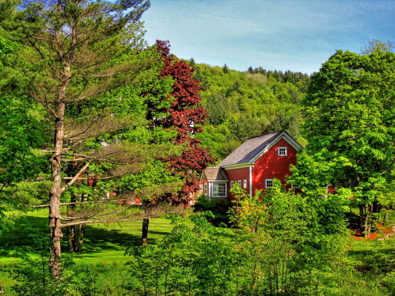 Red House in Forest