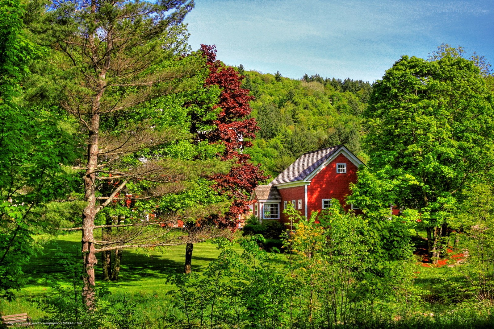 Red house in green forest