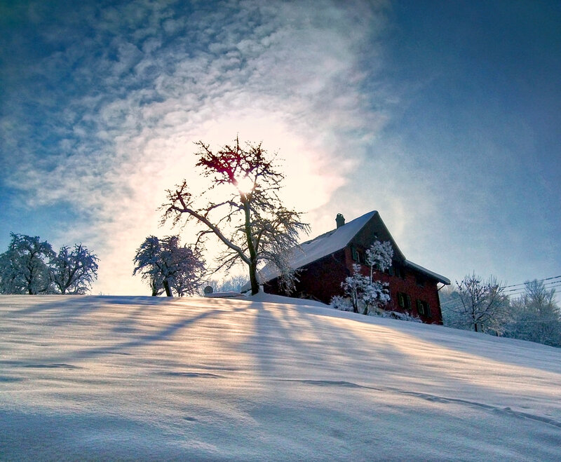 Red House in Snow — White, Serene