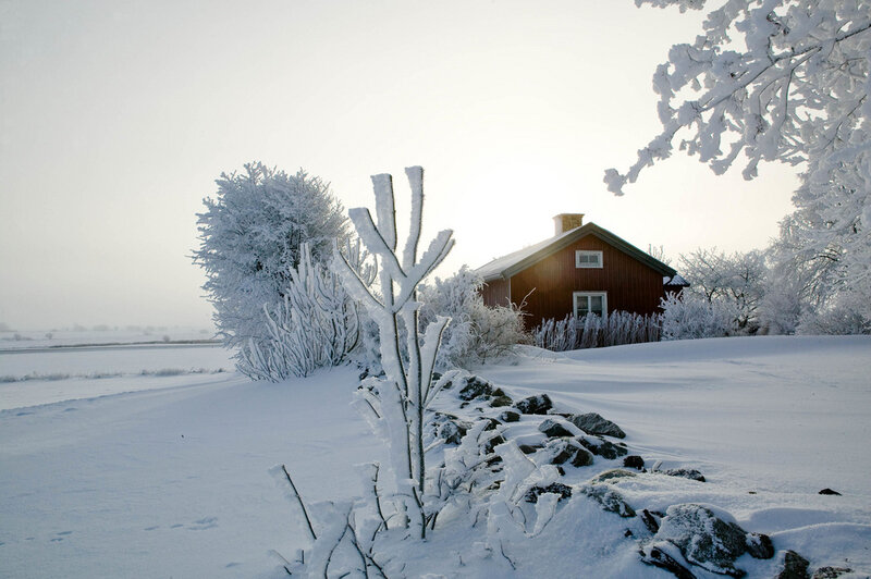 Red House in Snow — White