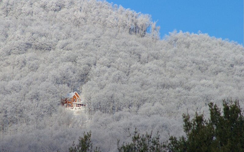 Red House in Snowy Forest — White