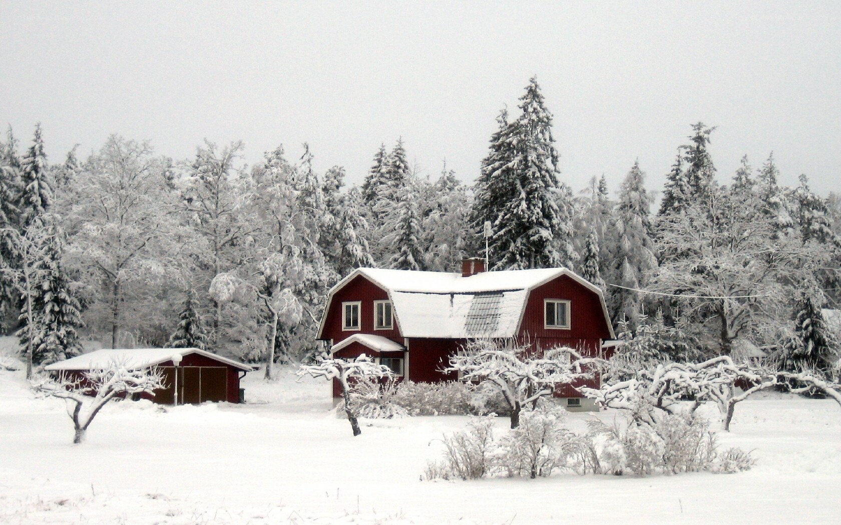 Red house in snowy landscape