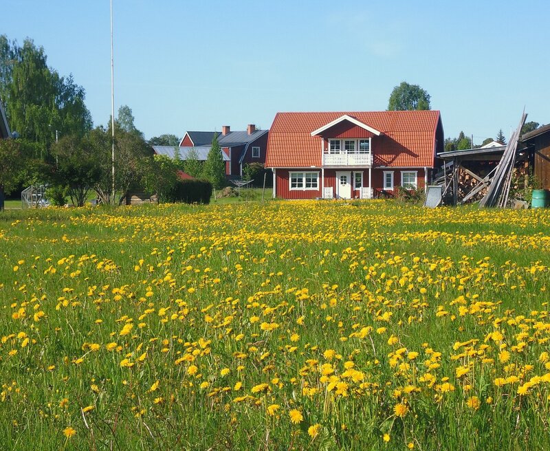 Red House with Dandelions