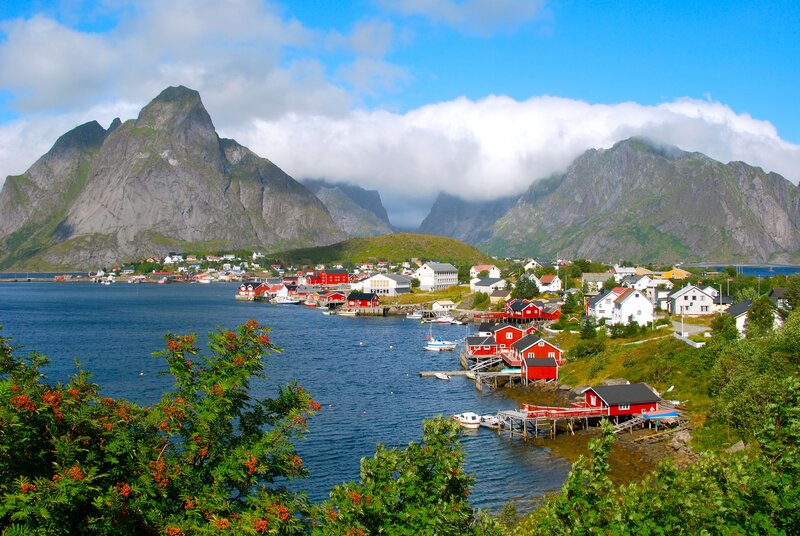 Red houses by the fjord