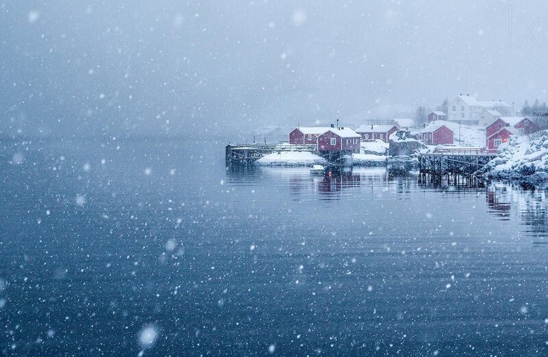 Red Houses in Snow — Blue, Cold