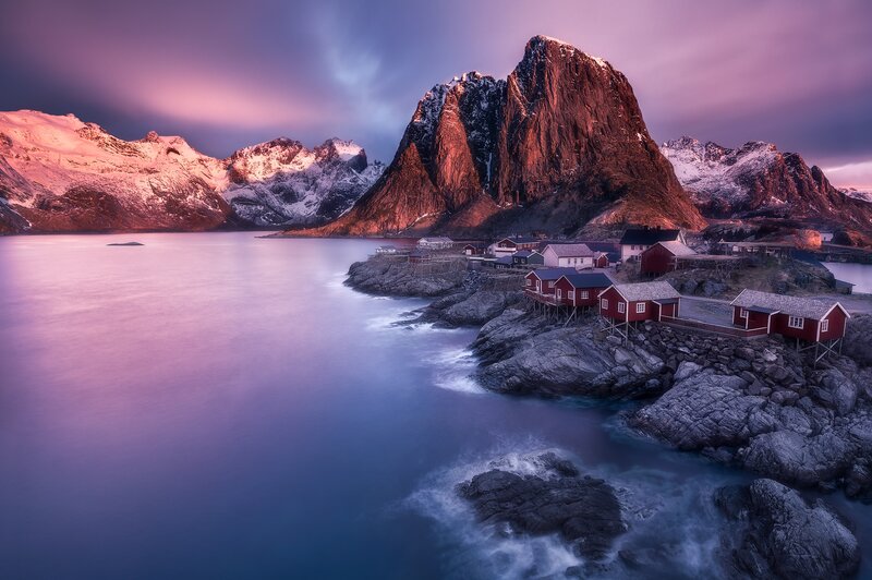 Red Houses on Coast — Purple