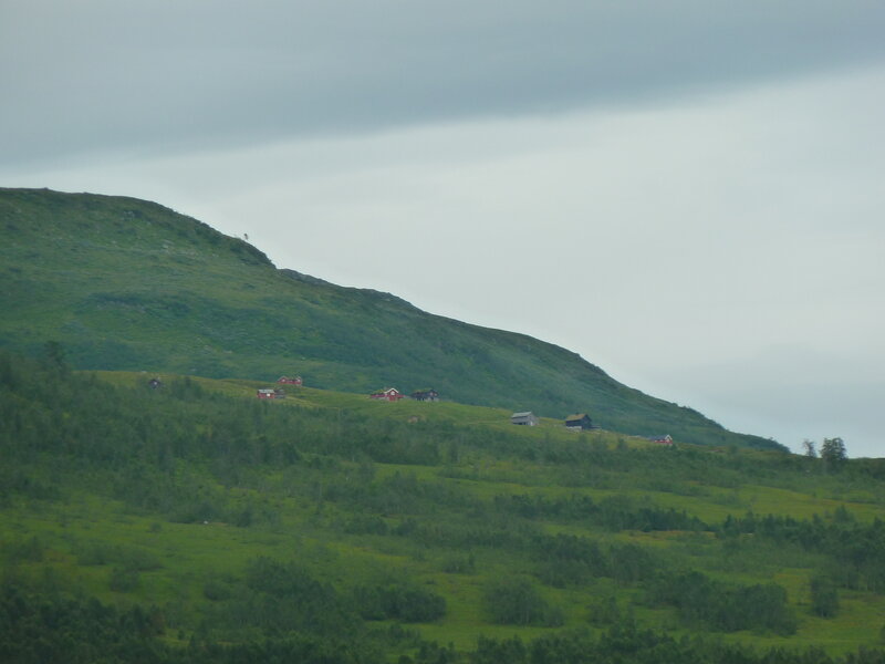 Red Houses on Hillside