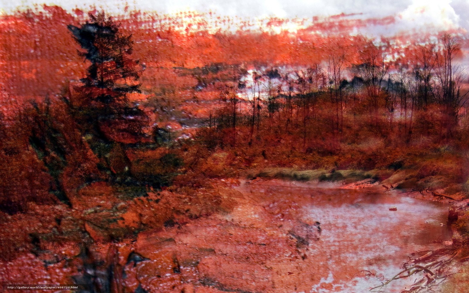 Red-hued forest landscape