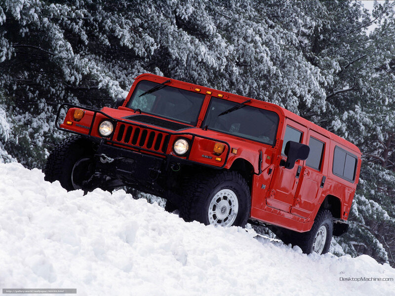 Red Hummer in snowy forest