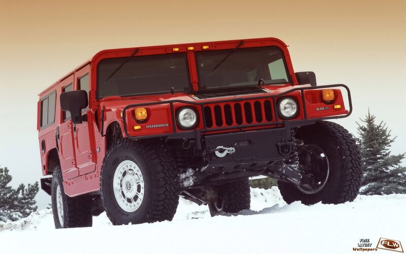 Red Hummer in snowy landscape