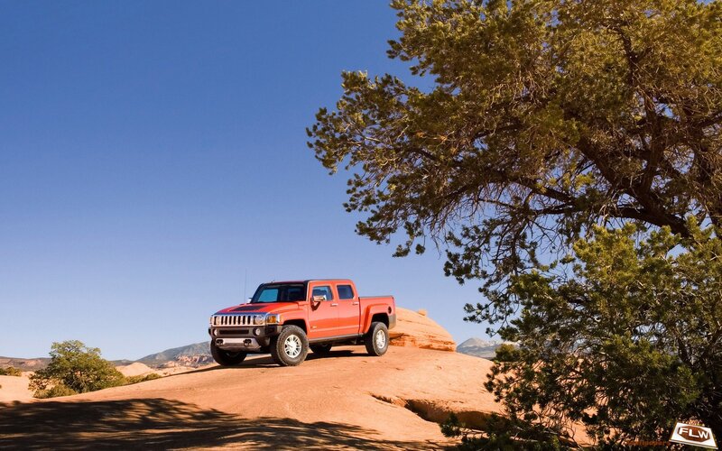 Red Hummer on desert hill