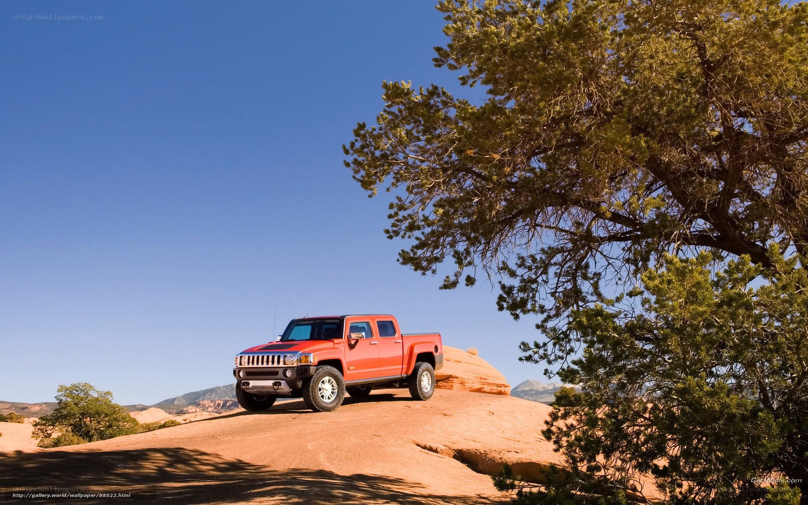 Red Hummer on desert hill