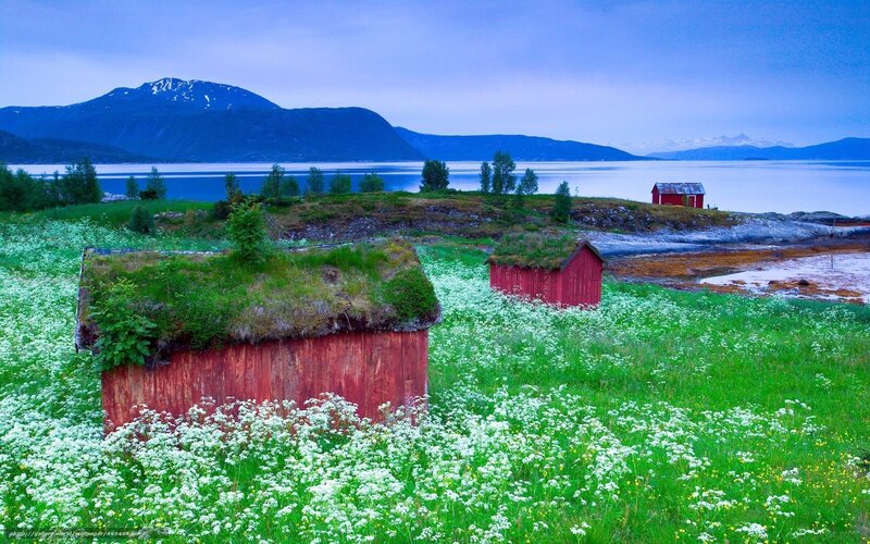 Red huts on a fjord landscape