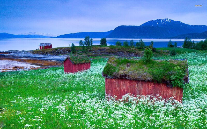 Red Huts with Grass Roofs